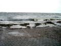 DSC00907.JPG
