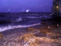 DSC00926.JPG