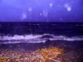 DSC00927.JPG