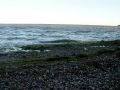 DSC00938.JPG