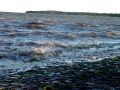 DSC00943.JPG