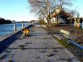 DSC00947.JPG
