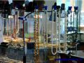 DSC01115.JPG