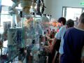 DSC01118.JPG