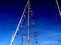DSC09784.JPG