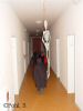 DSC00850.JPG