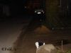 DSC00891.JPG