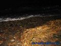 DSC03608.JPG