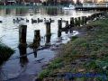 DSC03634.JPG