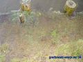 DSC03636.JPG
