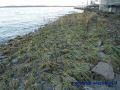 DSC03643.JPG