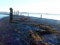 DSC03646.JPG