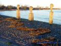 DSC03656.JPG