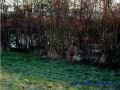 DSC03657.JPG