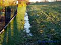 DSC03659.JPG
