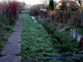 DSC03661.JPG