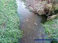 DSC03662.JPG