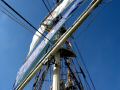 DSC09932.JPG