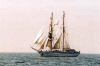 Sail2.jpg