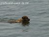 DSC05852.JPG