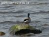 DSC05883.JPG