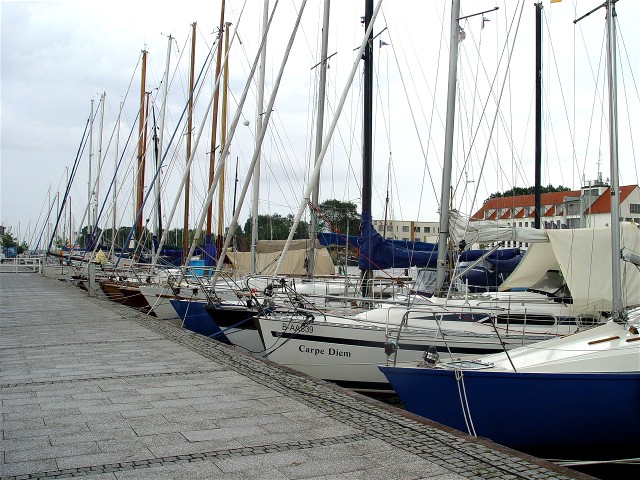 DSC00049.JPG