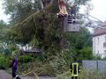 DSC00073.JPG