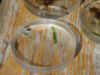 DSC07175.JPG