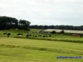 DSC06863.JPG