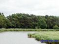 DSC06864.JPG