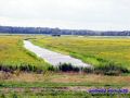 DSC06867.JPG