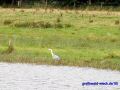 DSC06872.JPG