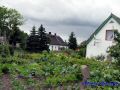 DSC06882.JPG