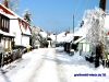 DSC04526.JPG