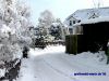 DSC04527.JPG