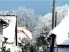 DSC04531.JPG
