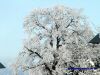 DSC04532.JPG