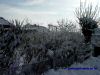 DSC04533.JPG