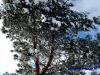 DSC04535.JPG