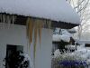DSC04541.JPG