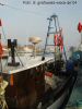 DSC02217.JPG