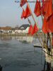 DSC02218.JPG
