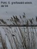 DSC02231.JPG