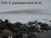 DSC02234.JPG