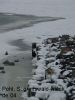 DSC02235.JPG