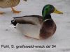 DSC02241.JPG