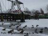 DSC02242.JPG