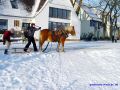 DSC08373.JPG